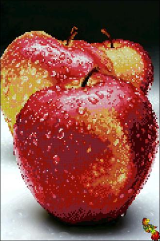 ЧК3-3016 Вкус яблок 26,5х39,5 частичная зашивка