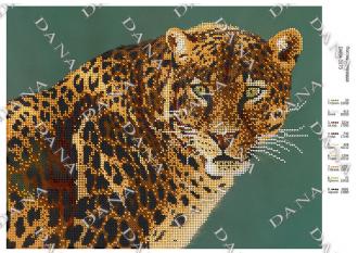DANA-3173 Взгляд леопарда 30х23