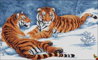 ПК2-2139 Пара тигров 34х55 полная зашивка