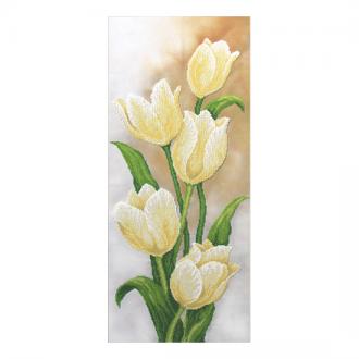 T-0503 Белые тюльпаны 30х70