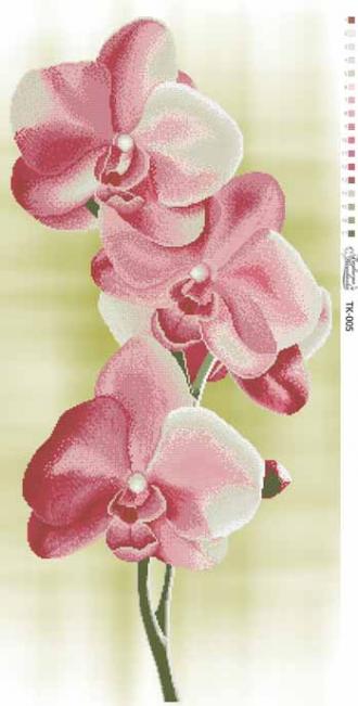 ТК-005 Орхидея 46х95