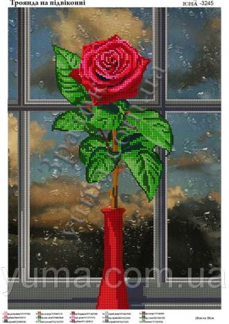 ЮМА-3245 Роза на окне 28х38