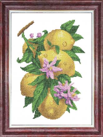 КБЦ-3058 Ветка с лимонами 26х36