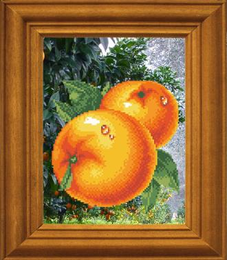 МА-001 Сочные апельсины 18х24