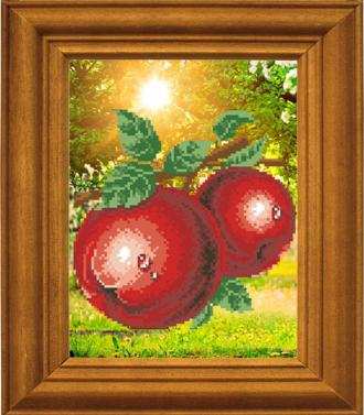 МА-002 Ароматные яблоки 18х24