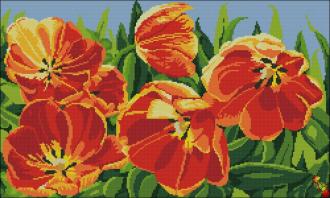 ПК2-2115 Солнечные тюльпаны 33х54 полная зашивка