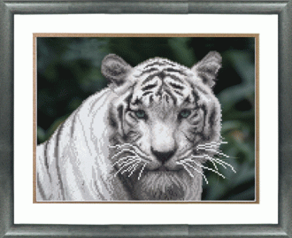 СБ-145 Белый тигр 30х23