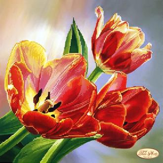 ТА-183 Красочные тюльпаны 30х30