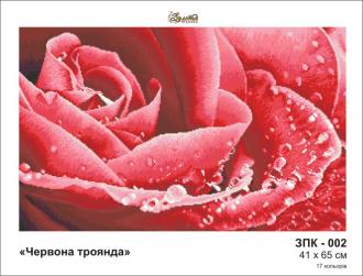 ЗПК-002 Красная роза 41х65 полная зашивка