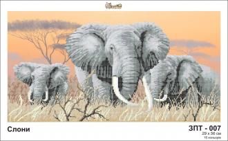 ЗПТ-007 Слоны 29х56