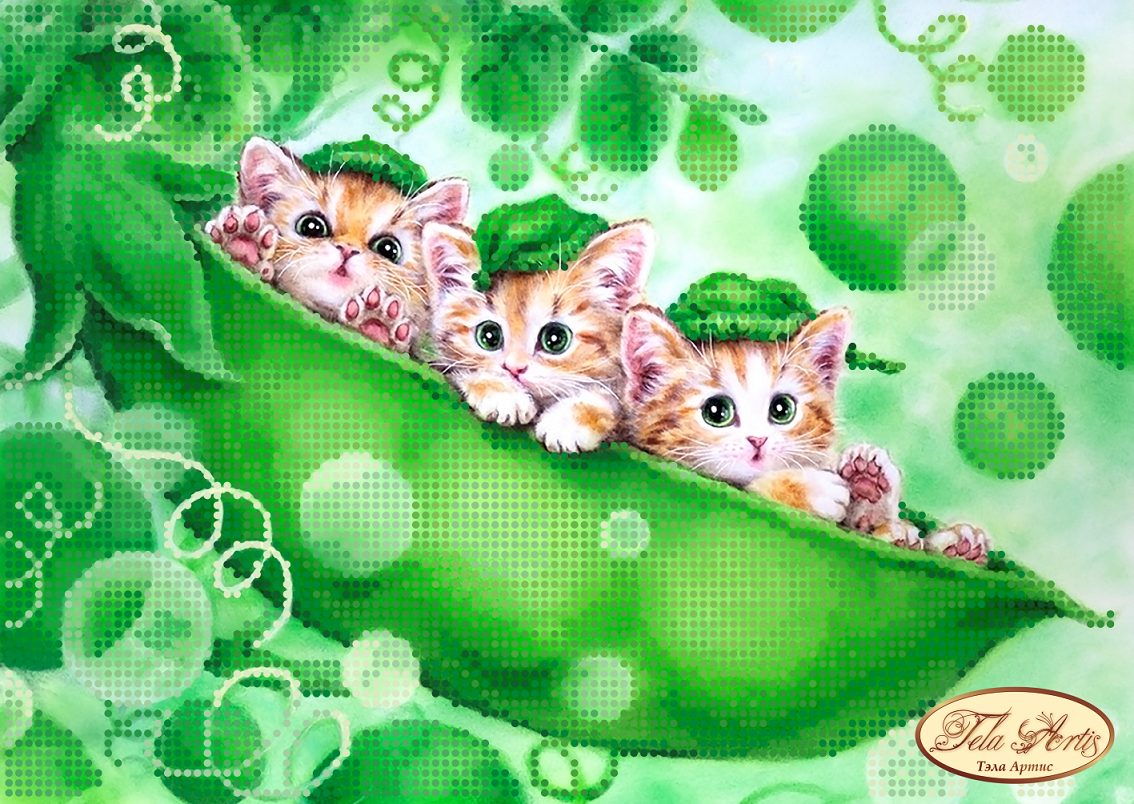 Художника Kayomi Harai. Картины Kayomi Harai. Котенок иллюстрация. Котик на бирюзовом фоне. Кот горох